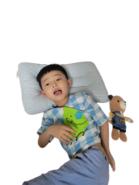 web 1_ junior pillow 3