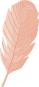 leaves.png
